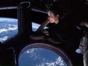 Фотография Курочкина Сергея