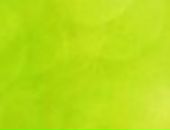 Ілона Лебеденко фотография #9 (источник - https://vk.com/id56674792)