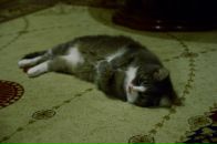 Анни Леонтьева фотография #35 (источник - https://vk.com/id498650)