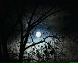 Фотография Орлова Евгения