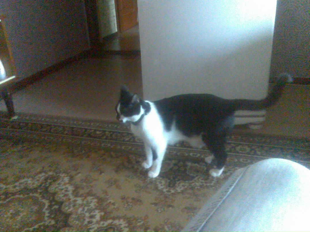 Николай Чуприна фотография #46