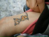 Фотография Пуговки Ангелины