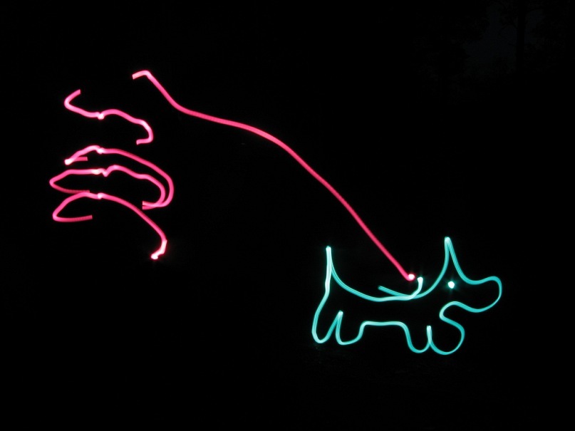 Dmitriy Glotov фотография #19