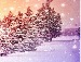 Ірка Завада фотография #13 (источник - https://vk.com/id155166811)