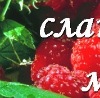 Ірина Занюк фотография #11 (источник - https://vk.com/id144608453)