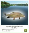 Сергій Тимків фотография #25 (источник - https://vk.com/id56049737)