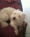 ♠сабіна... ♥sweet♥...love♣ фотография #2 (источник - https://vk.com/id85943930)