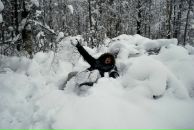 Фотография Шмелёва Алексея