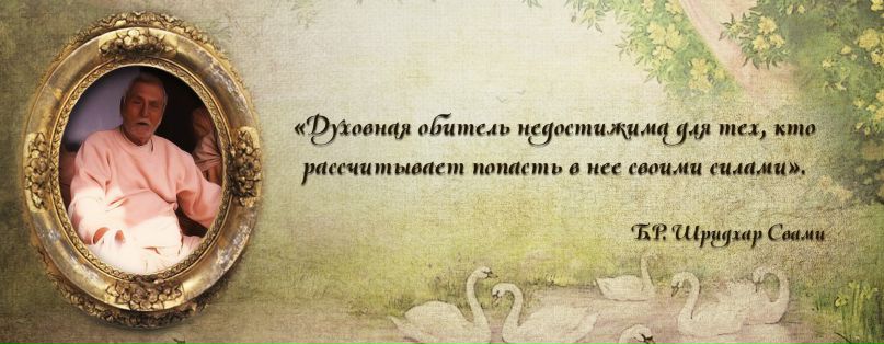 Дима П фотография #37