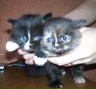 Фотография Захаревич Юлии