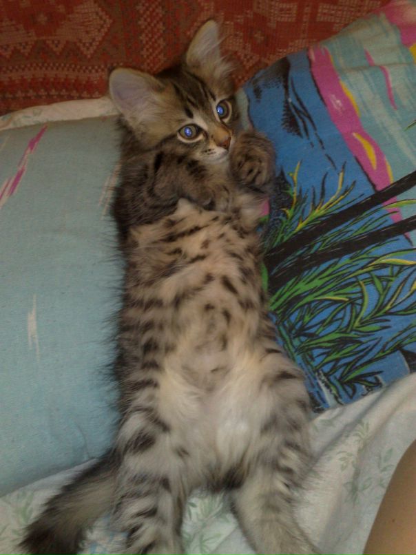 Елена Басарина фотография #26