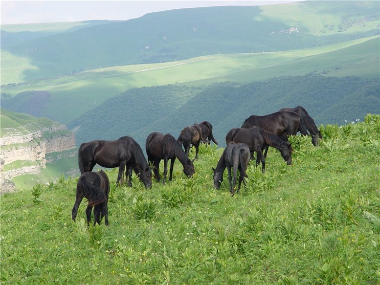 Рустам Чотчаев фотография #21