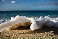 Фотография Нор Маргариты