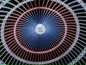 Софья Левенталь фотография #35 (источник - https://vk.com/id409592)