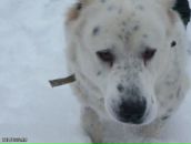 Фотография Римского Владимира