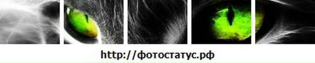 Андрій Закропивний фотография #18 (источник - https://vk.com/id36531792)