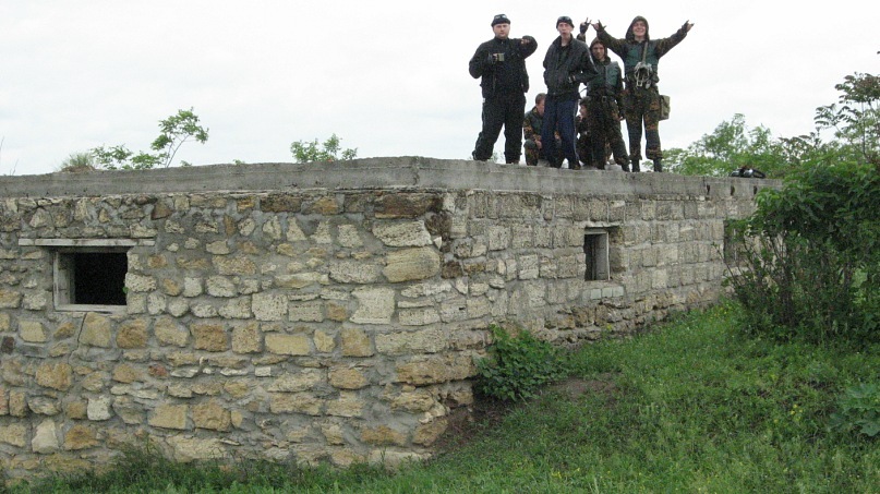 Lion Cat фотография #22