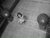 Мар'яна Пєкна фотография #37 (источник - https://vk.com/id73911633)