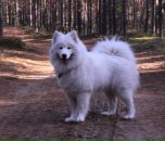 Фотография Малякиной Светланы