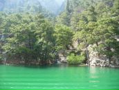 Фотография Чеснокова Аркадия