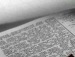 Аля Парельская фотография #1