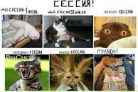 Фотография Боровковой Надежды