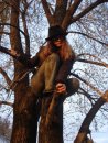 Фотография Шабаш Надежды