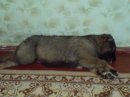 Ігор Данилішин фотография #7 (источник - https://vk.com/id56462575)