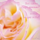 Макс Ромашко фотография #15 (источник - https://vk.com/id26034834)