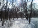 Герман Масливец фотография #23 (источник - https://vk.com/id30653853)