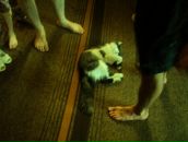 Ігор Капанюк фотография #7 (источник - https://vk.com/id70134363)