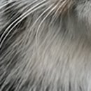 Виктор Арфеев фотография #40 (источник - https://vk.com/id38807040)