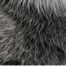 Виктор Арфеев фотография #36 (источник - https://vk.com/id38807040)