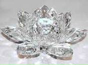 Фотография Карповой Катерины