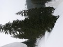 Лігерко Дмитро фотография #28 (источник - https://vk.com/id134888528)