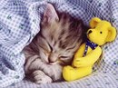 Таня Кіх фотография #46 (источник - https://vk.com/id154310659)