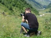 Фотография Жуковский Дизайнерские Торты