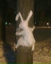 Оля Алємасова фотография #26 (источник - https://vk.com/id11173147)