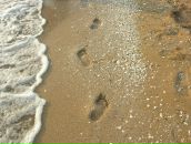 Фотография Бяшимовой Екатерины