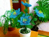 Софія Родін фотография #7 (источник - https://vk.com/id384718300)