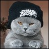 Сергій Хромей фотография #12 (источник - https://vk.com/id164998289)