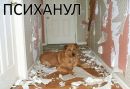 Фотография Пятаковой Елены