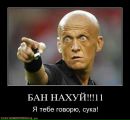Фотография Ches Толяна