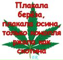 Толік Дуднiк фотография #35 (источник - https://vk.com/id155280067)