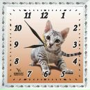 Часовщик Времечков фотография #24 (источник - https://vk.com/id168219568)