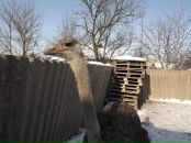 Юрій Тетьора фотография #22 (источник - https://vk.com/id15448207)