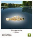 Діма Чейпеш фотография #43 (источник - https://vk.com/id160940576)
