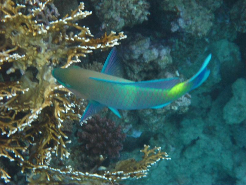 Борис Кишкилев фото №26