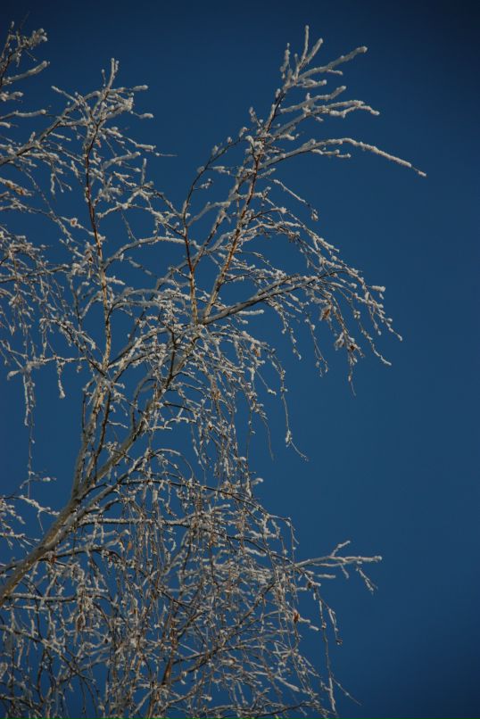 Александр Плотников фотография #3