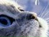 Ксенія Федорій фотография #8 (источник - https://vk.com/id85191373)